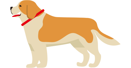 超大型犬のイメージ