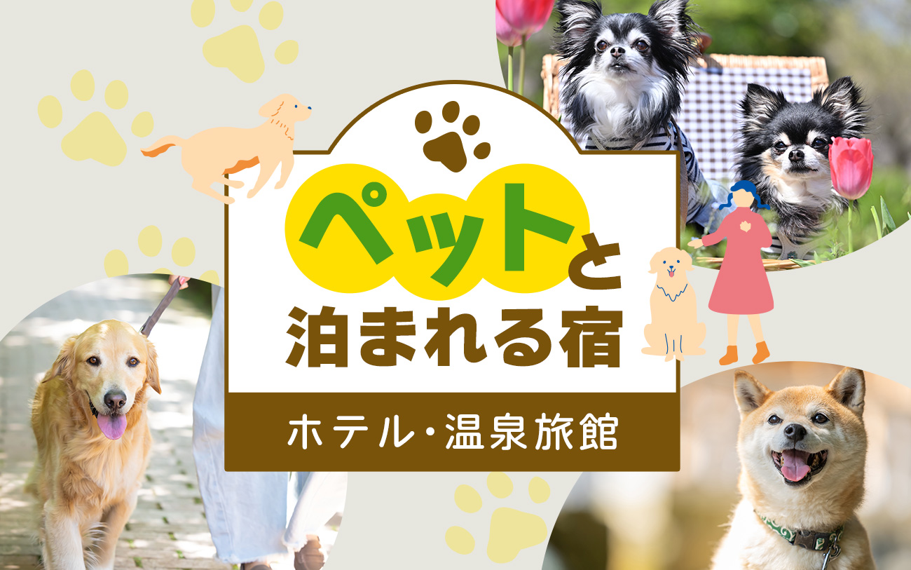 ペットと泊まれる宿 ホテル・温泉旅館